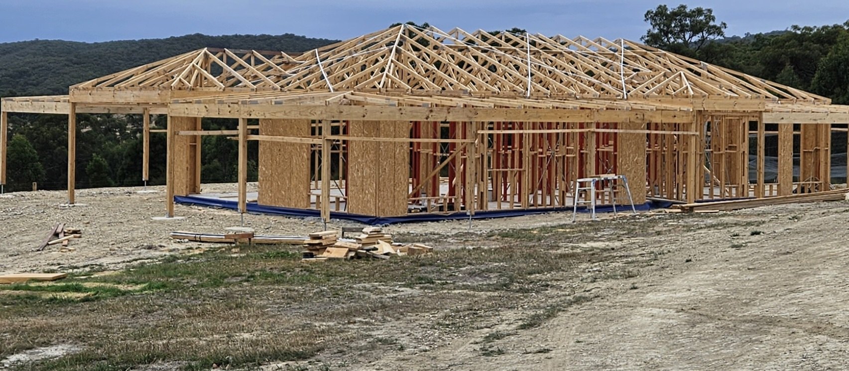 Gildea Carpentry timber house framing with wooded hills in the background
